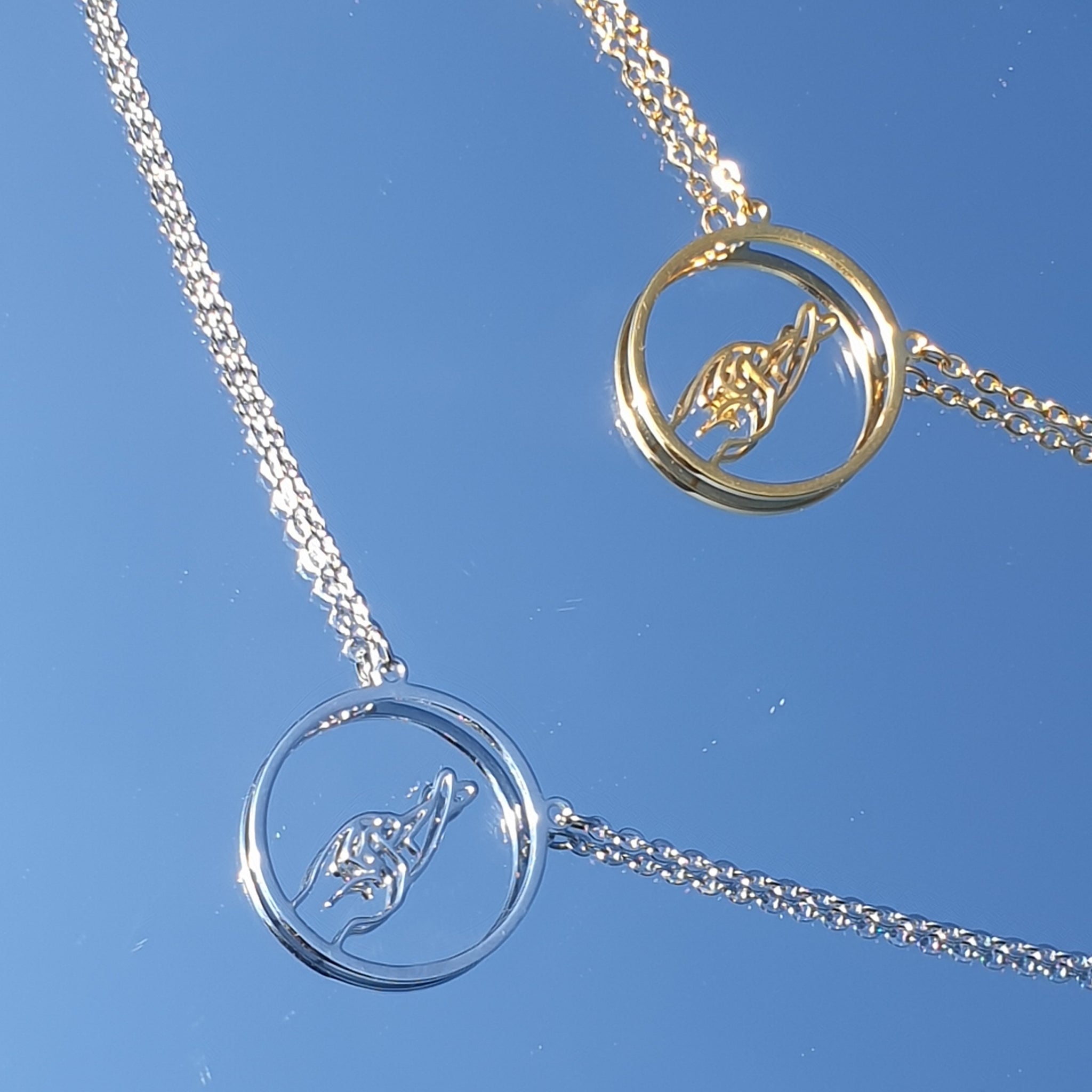 Symboler halsband i rostfritt stål