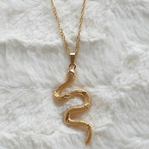 Chaîne serpent en acier inoxydable