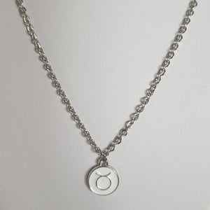 Sternzeichen Kette aus Edelstahl - viele Farben - Silber