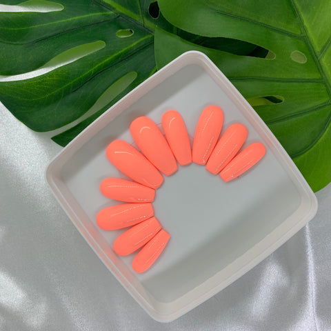 Coral