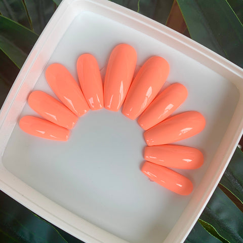 RTS - Corail dans Ballerine XLong (XXS)